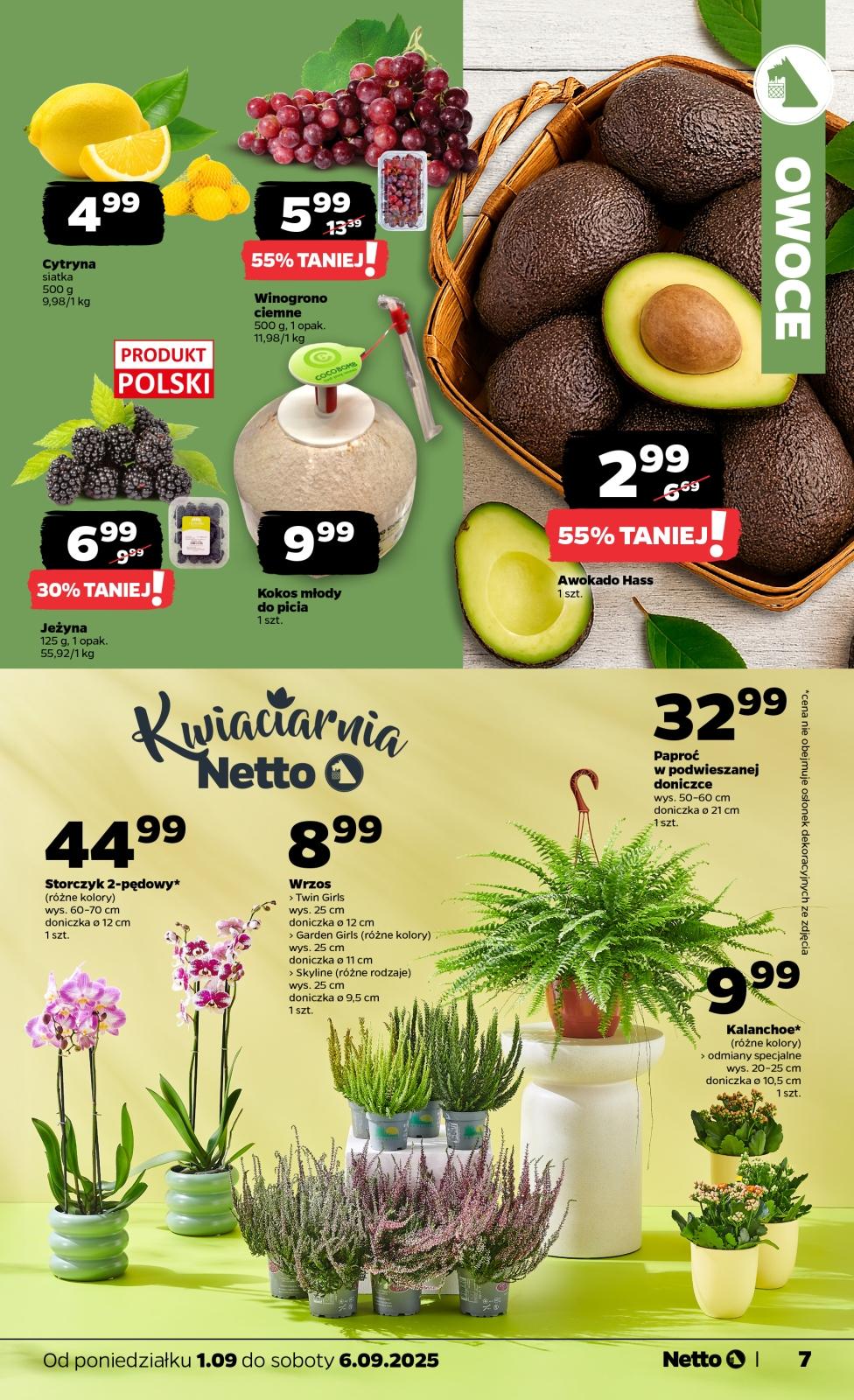 Gazetka promocyjna Netto str. 7