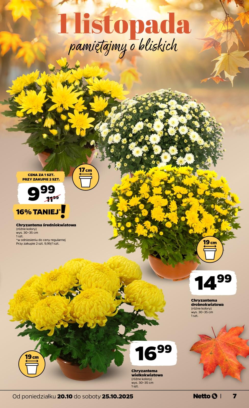 Gazetka promocyjna Netto str. 7