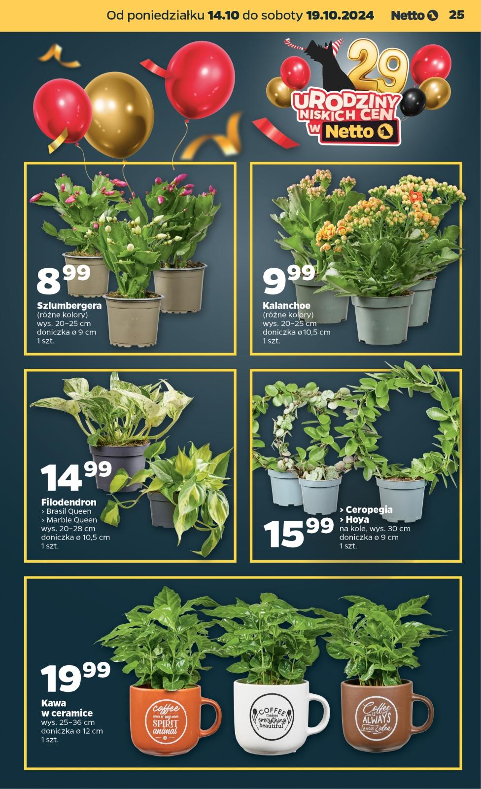 Gazetka promocyjna Netto str. 25