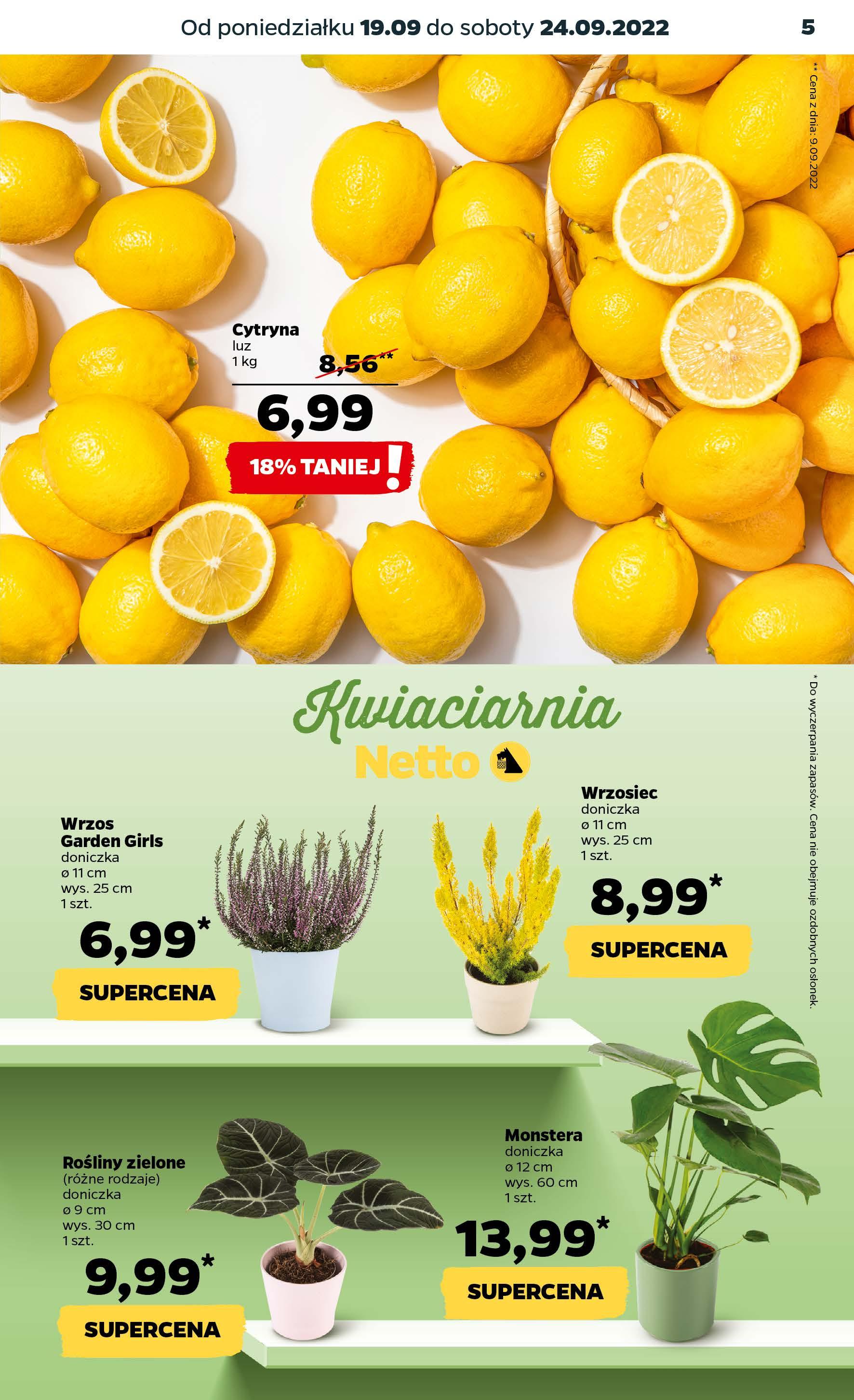 Gazetka promocyjna Netto str. 5