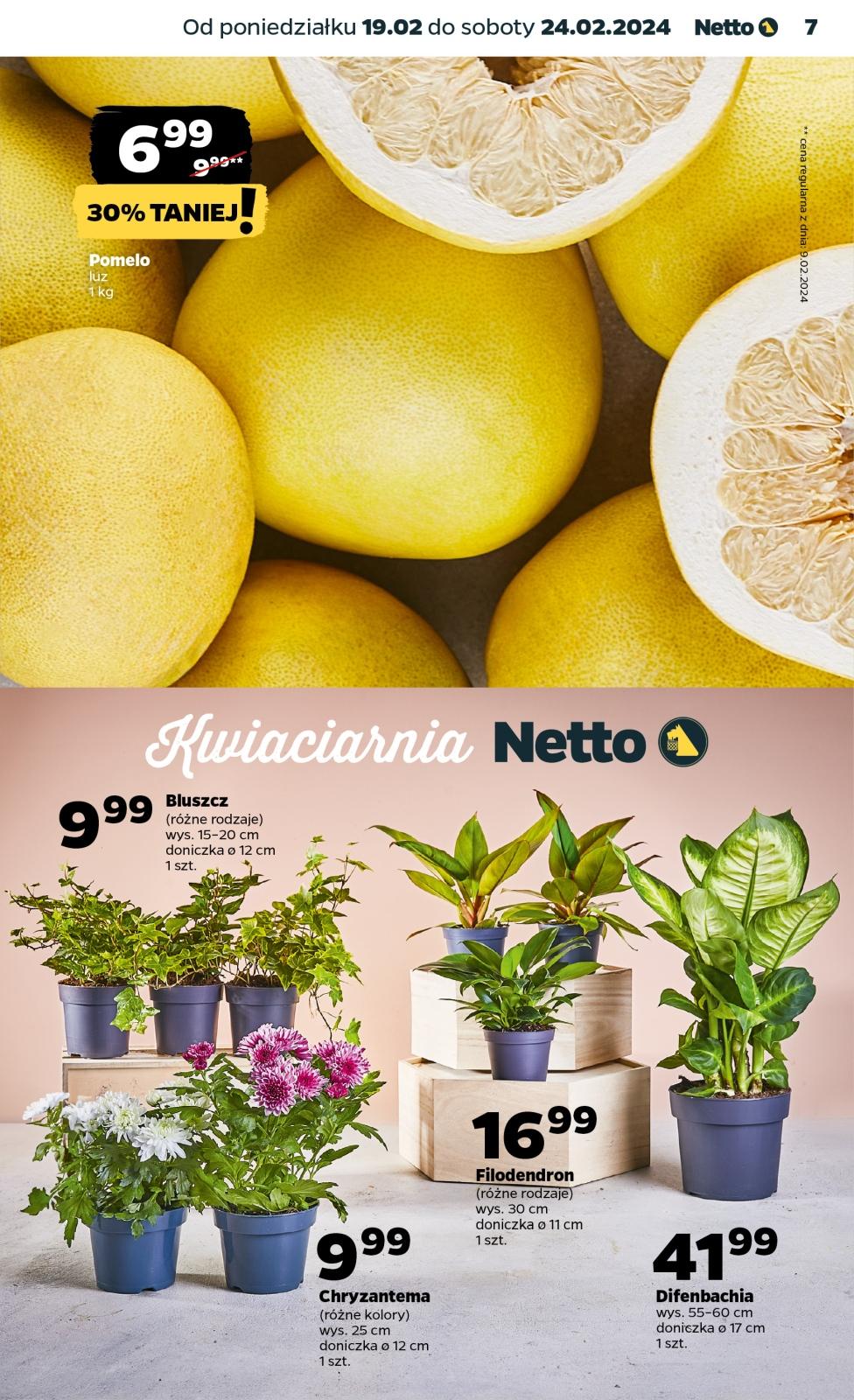 Gazetka promocyjna Netto str. 7