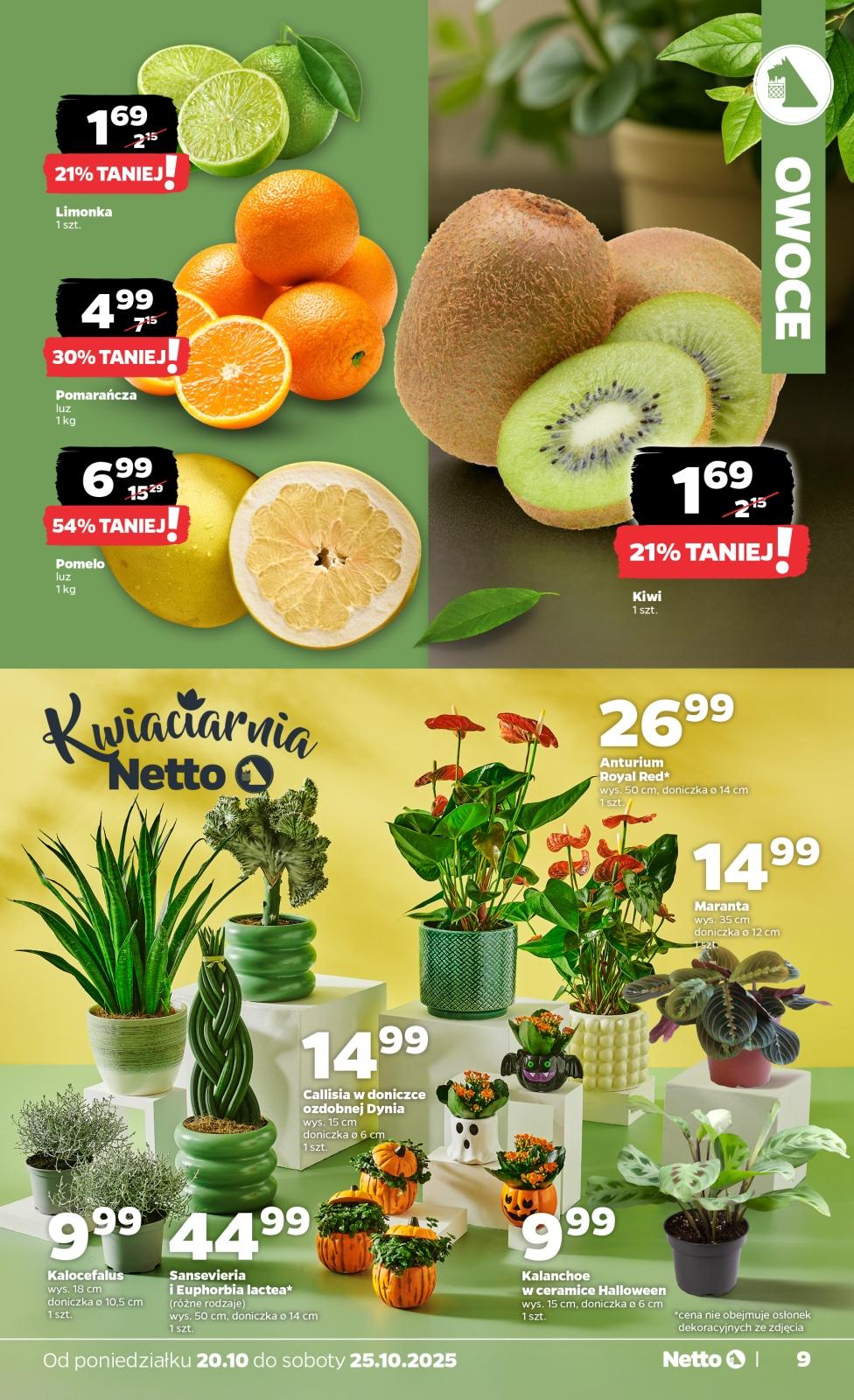Gazetka promocyjna Netto str. 9