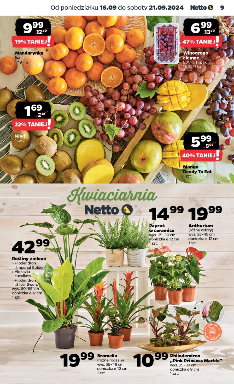 Gazetka promocyjna Netto str. 9
