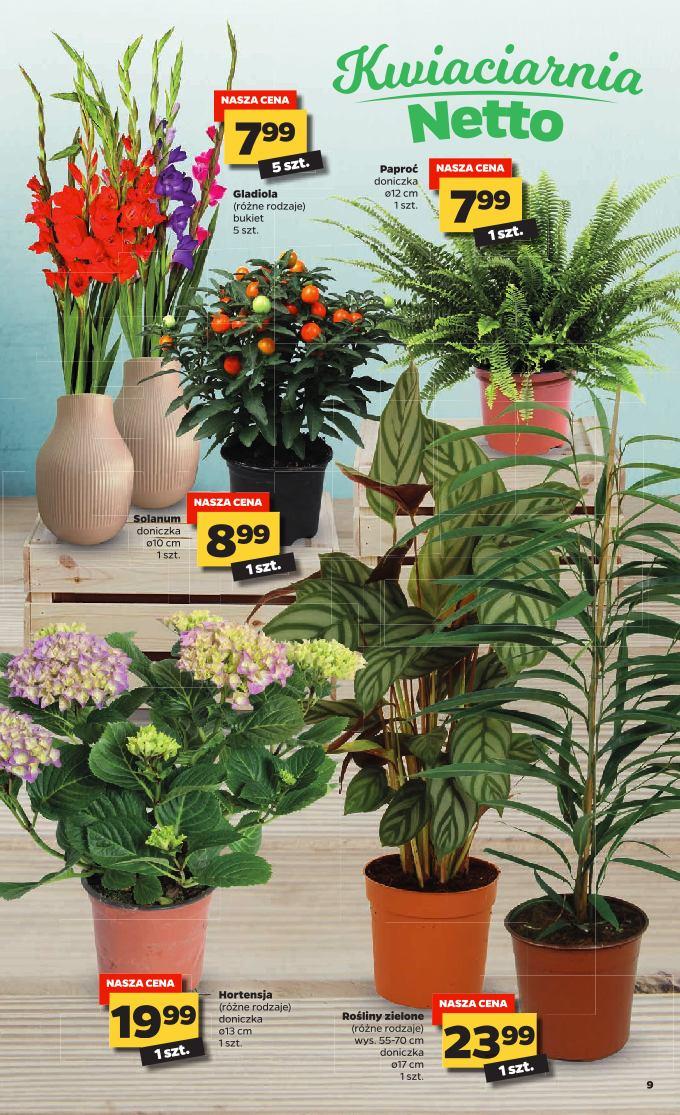 Gazetka promocyjna Netto str. 9