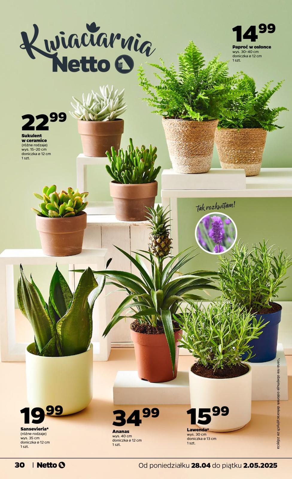 Gazetka promocyjna Netto str. 30
