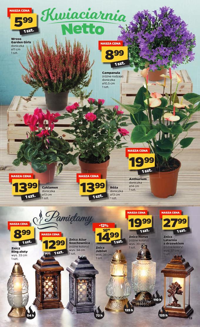 Gazetka promocyjna Netto str. 13